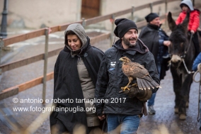 Pignola (PZ), 17 gennaio 2018, festa di Sant'Antonio Abate, la preparazione degli animali prima della corsa rituale